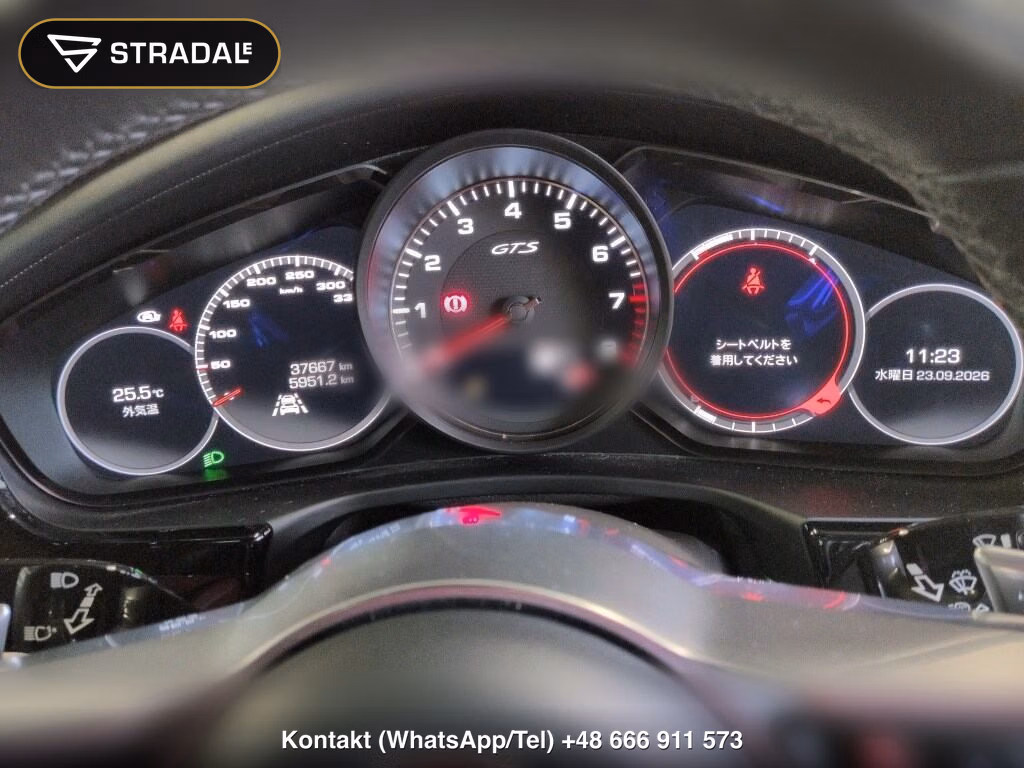 PORSCHE PANAMERA 5D 4WD GTS, miniaturka 7