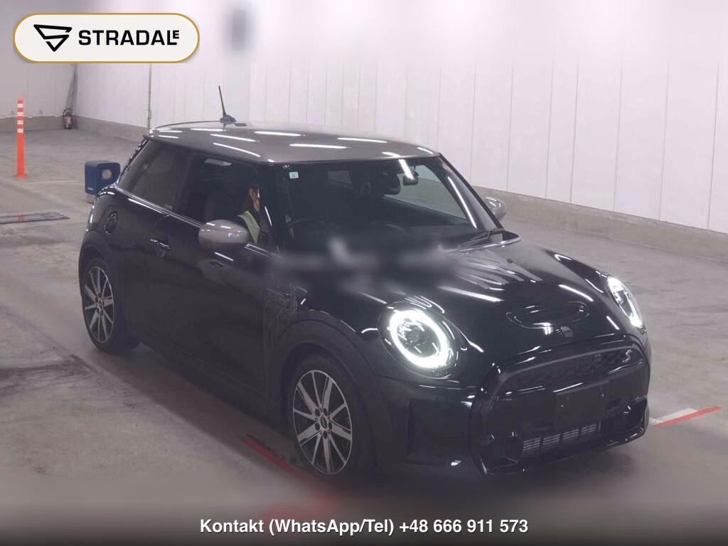 MINI MINI 3D SHADOW EDITION 2023, aukcja z Japonii, zdjęcie 1
