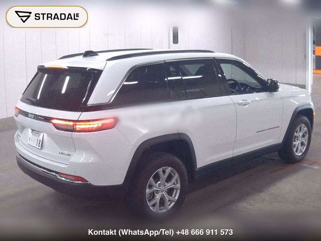 CHRYSLER JEEP JEEP GRAND CHEROKEE 4WD LIMITED 2.0L, miniaturka 6