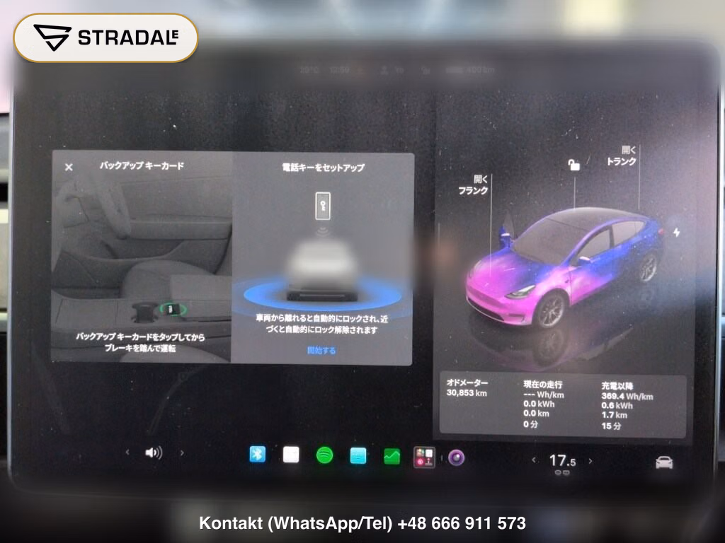 TESLA MODEL Y RWD, miniaturka 7