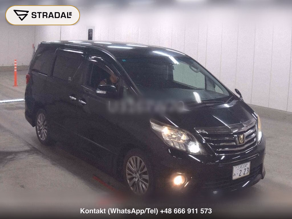 TOYOTA ALPHARD 240S TYPE GOLD Ⅱ, miniaturka 2