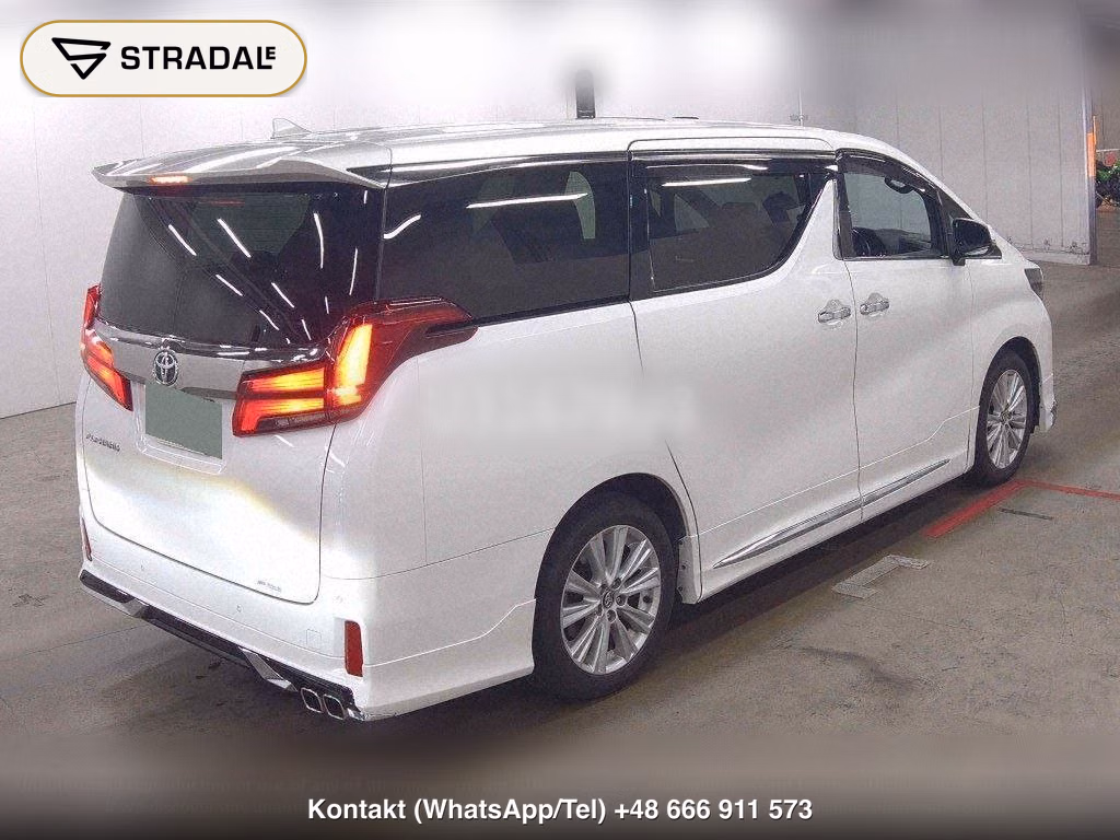 TOYOTA ALPHARD 2.5S TYPE GOLD, miniaturka 6