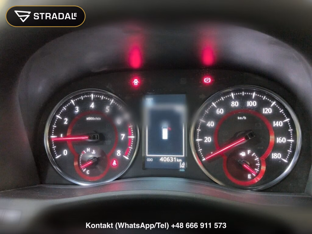 TOYOTA ALPHARD 2.5S TYPE GOLD, miniaturka 7