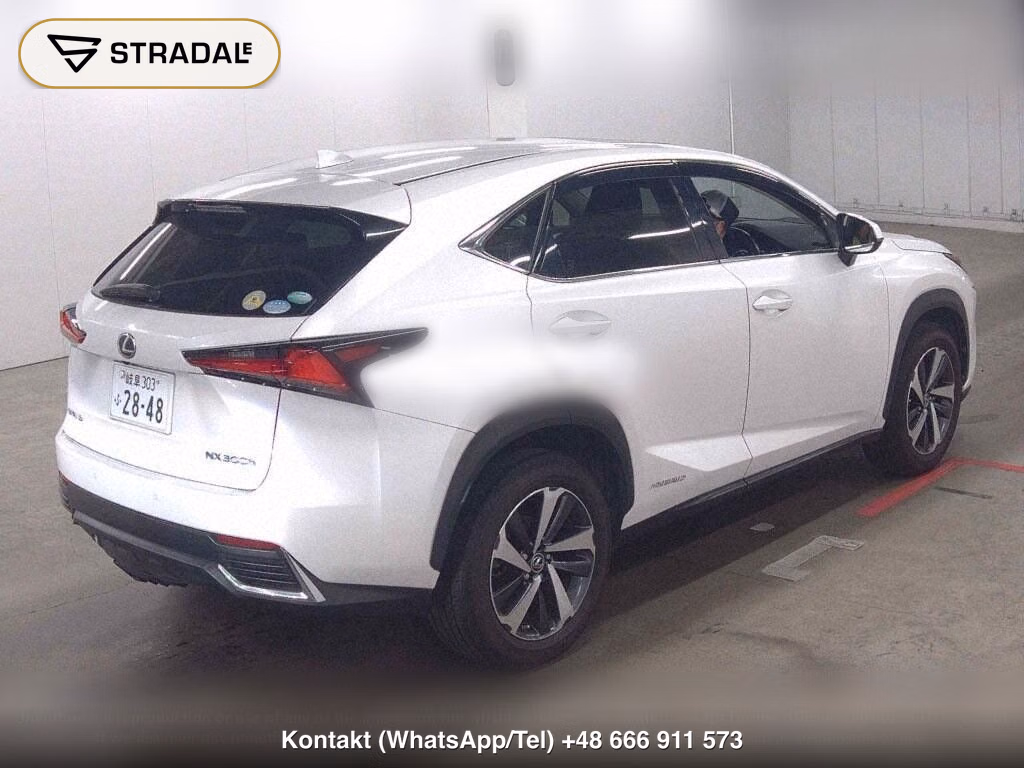 LEXUS NX NX300H I PACKAGE, miniaturka 6