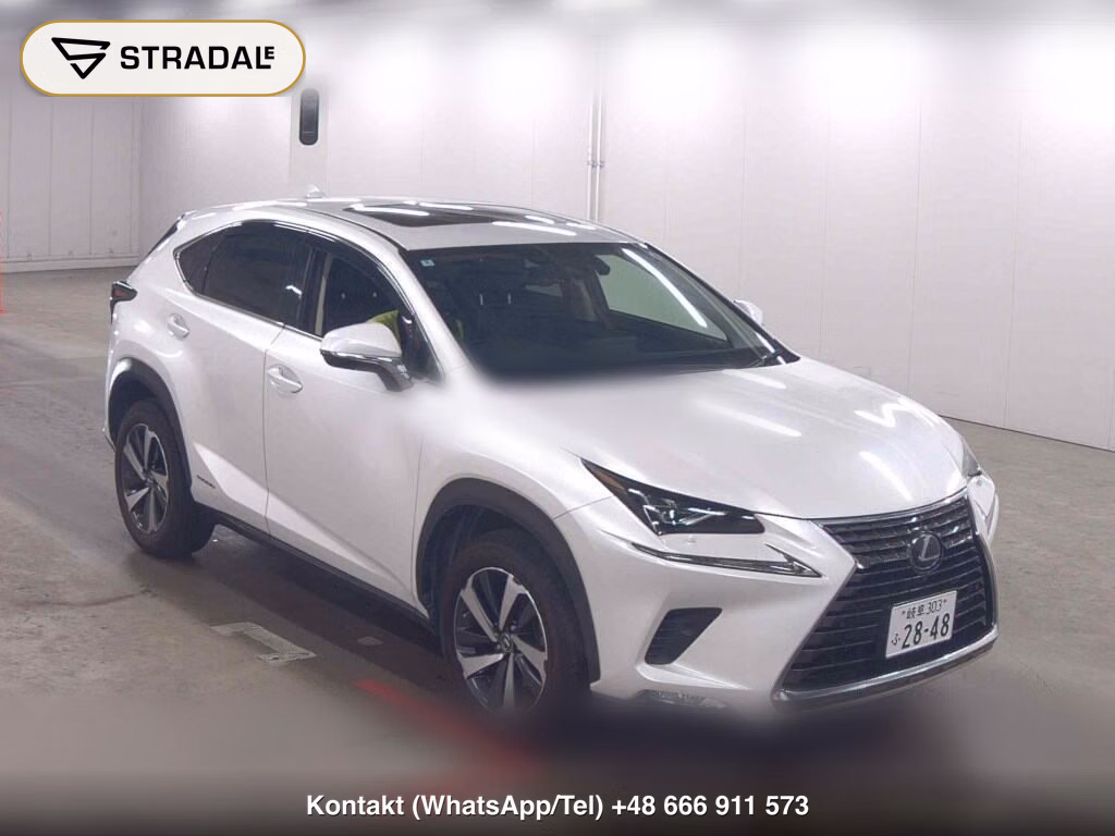 LEXUS NX NX300H I PACKAGE 2020, aukcja z Japonii, zdjęcie 1