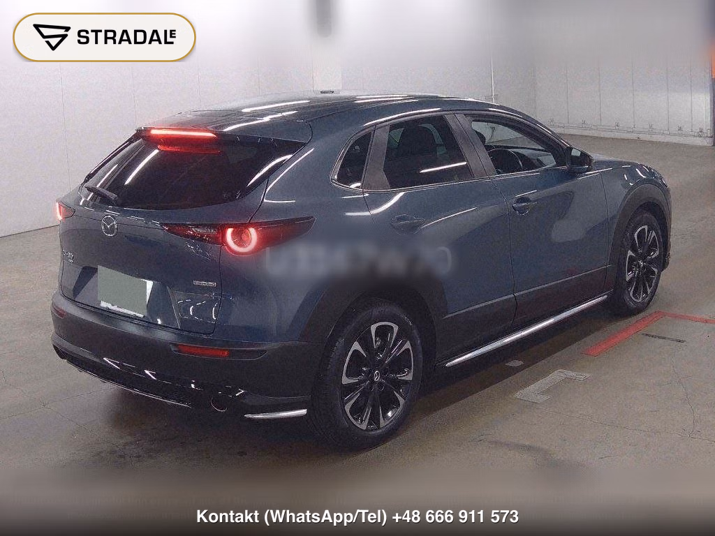 MAZDA CX-30 4WD 20S, miniaturka 6