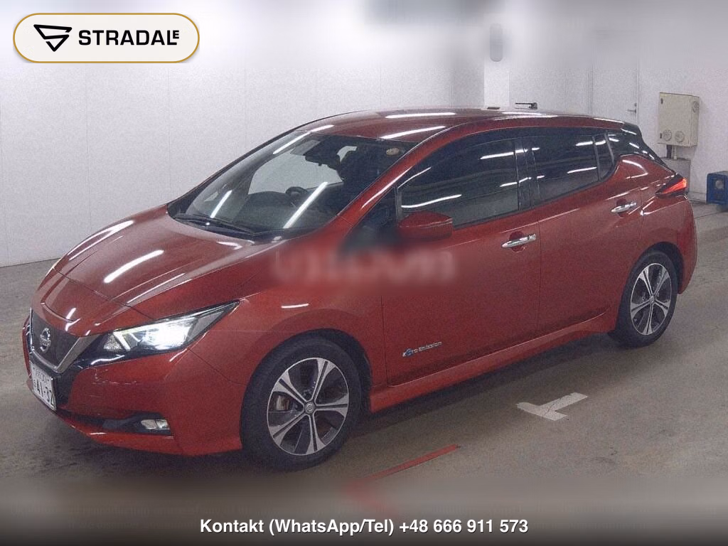 NISSAN LEAF X 10 THOUSAND UNITS MEMORIAL CAR, miniaturka 5