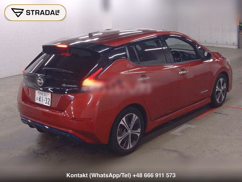 NISSAN LEAF X 10 THOUSAND UNITS MEMORIAL CAR, miniaturka 6