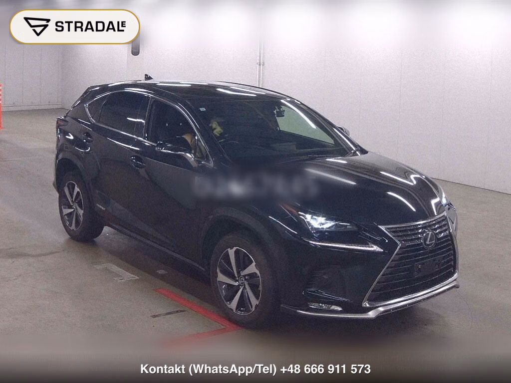 LEXUS NX NX300H SPECIAL EDITION SPICE AND CHIC, miniaturka 2