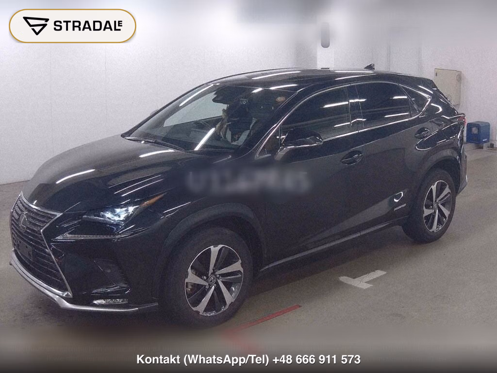 LEXUS NX NX300H SPECIAL EDITION SPICE AND CHIC, miniaturka 5