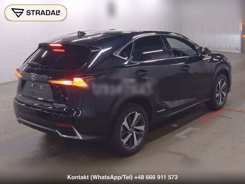 LEXUS NX NX300H SPECIAL EDITION SPICE AND CHIC, miniaturka 6