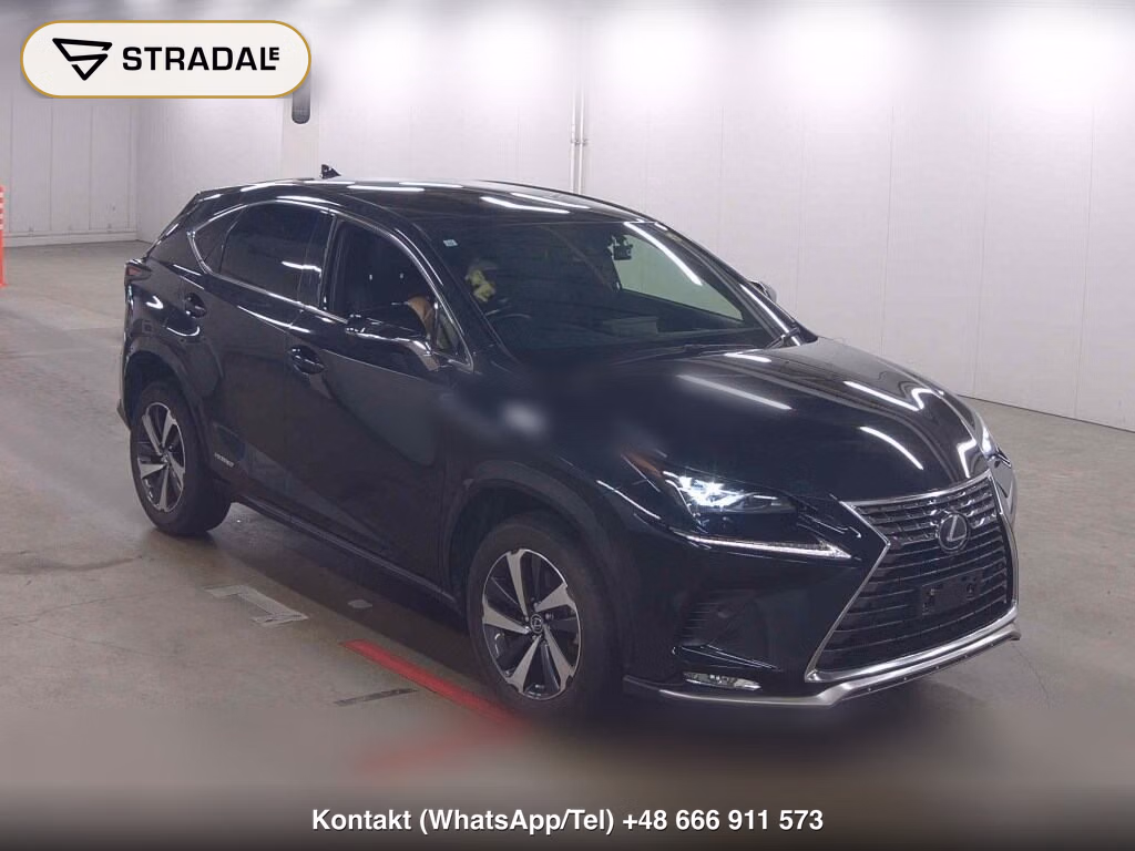LEXUS NX NX300H SPECIAL EDITION SPICE AND CHIC 2021, aukcja z Japonii, zdjęcie 1