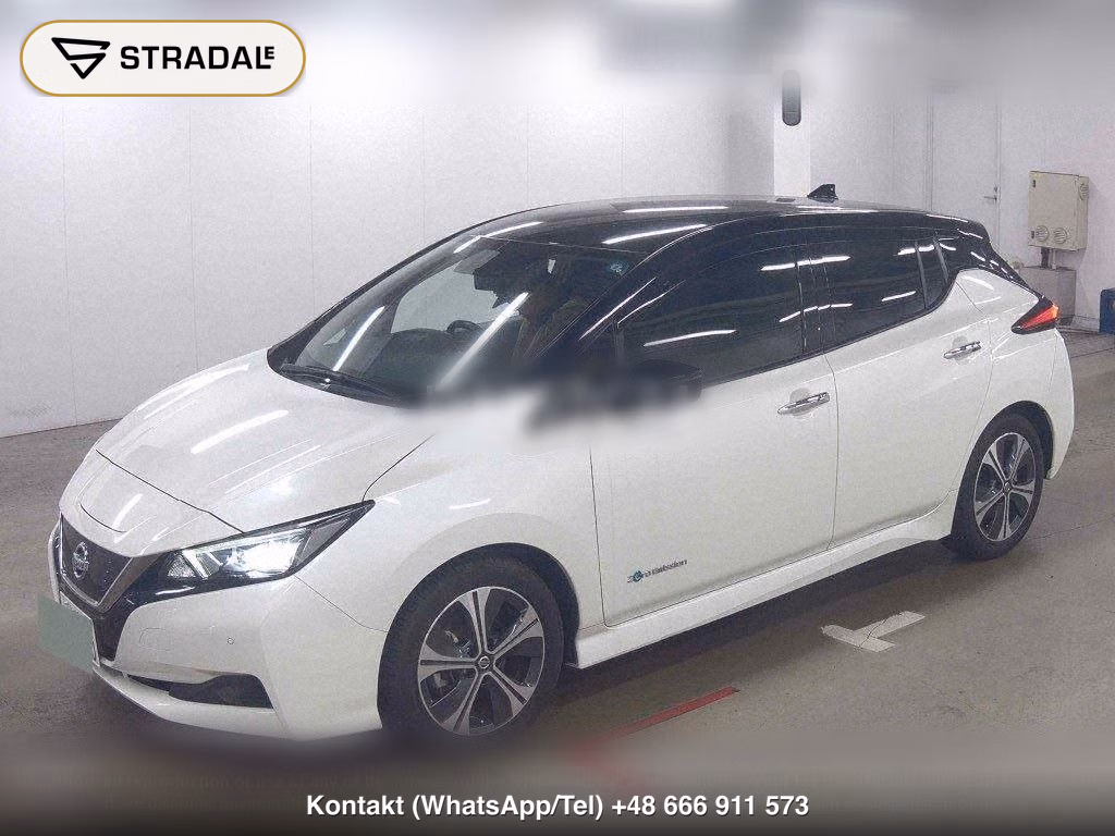 NISSAN LEAF X V SELECTION, miniaturka 5