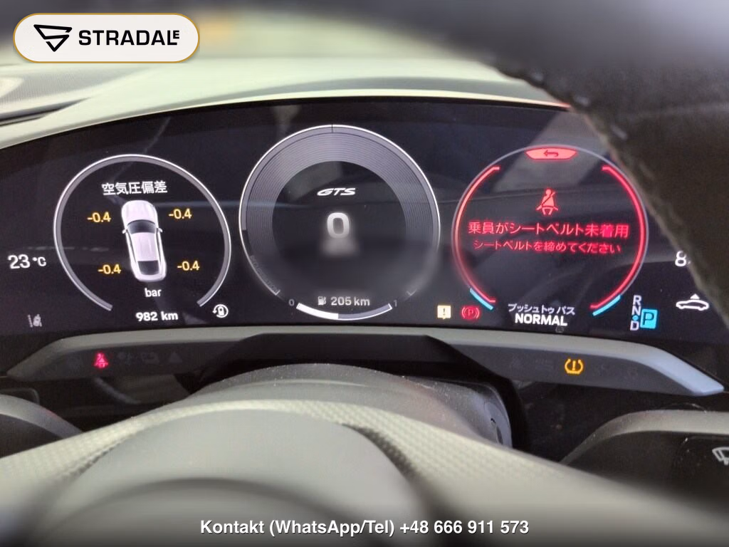 PORSCHE TAYCAN 4D 4WD GTS, miniaturka 7