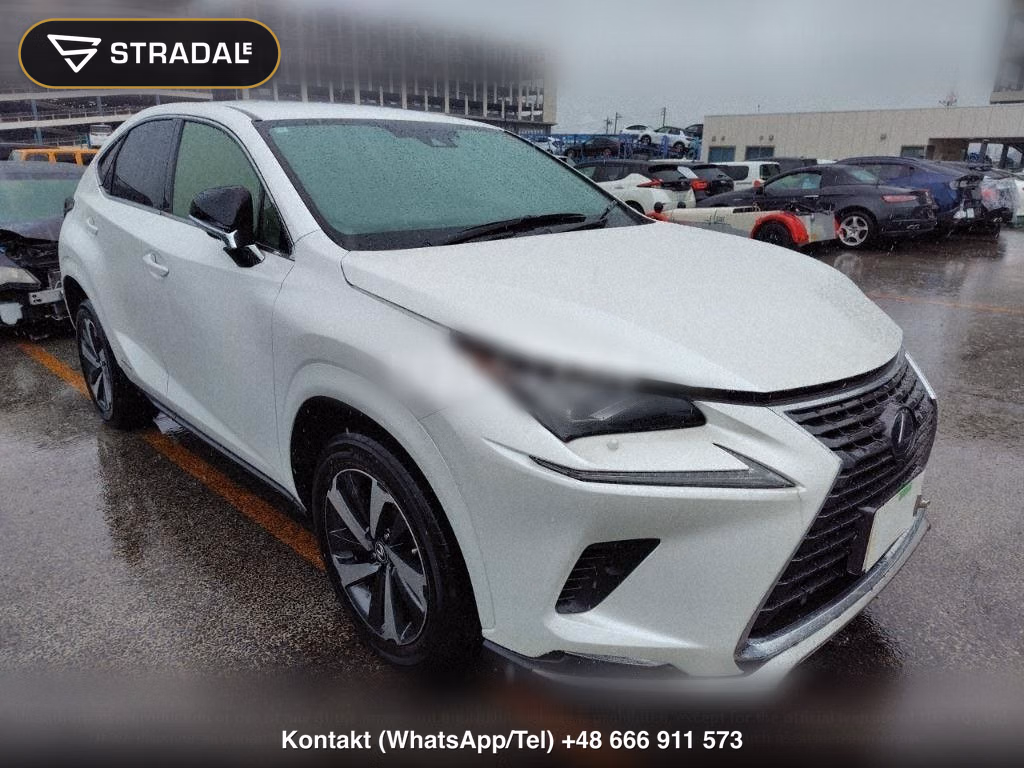 LEXUS NX NX300H SPECIAL EDITION SPICE AND CHIC, miniaturka 2