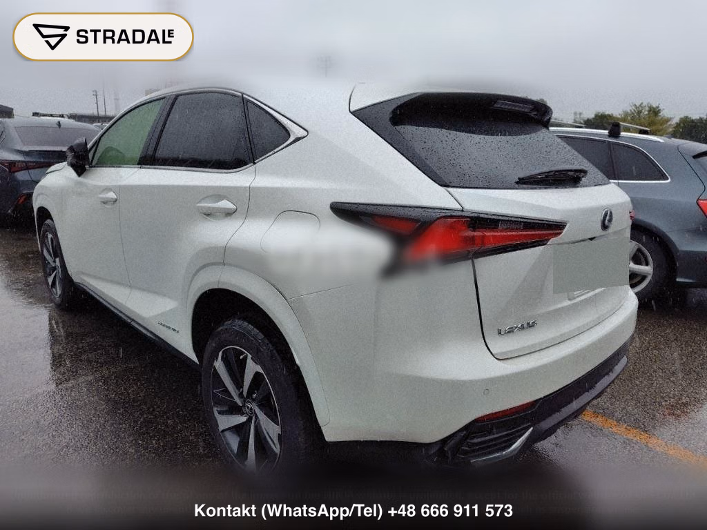 LEXUS NX NX300H SPECIAL EDITION SPICE AND CHIC, miniaturka 3