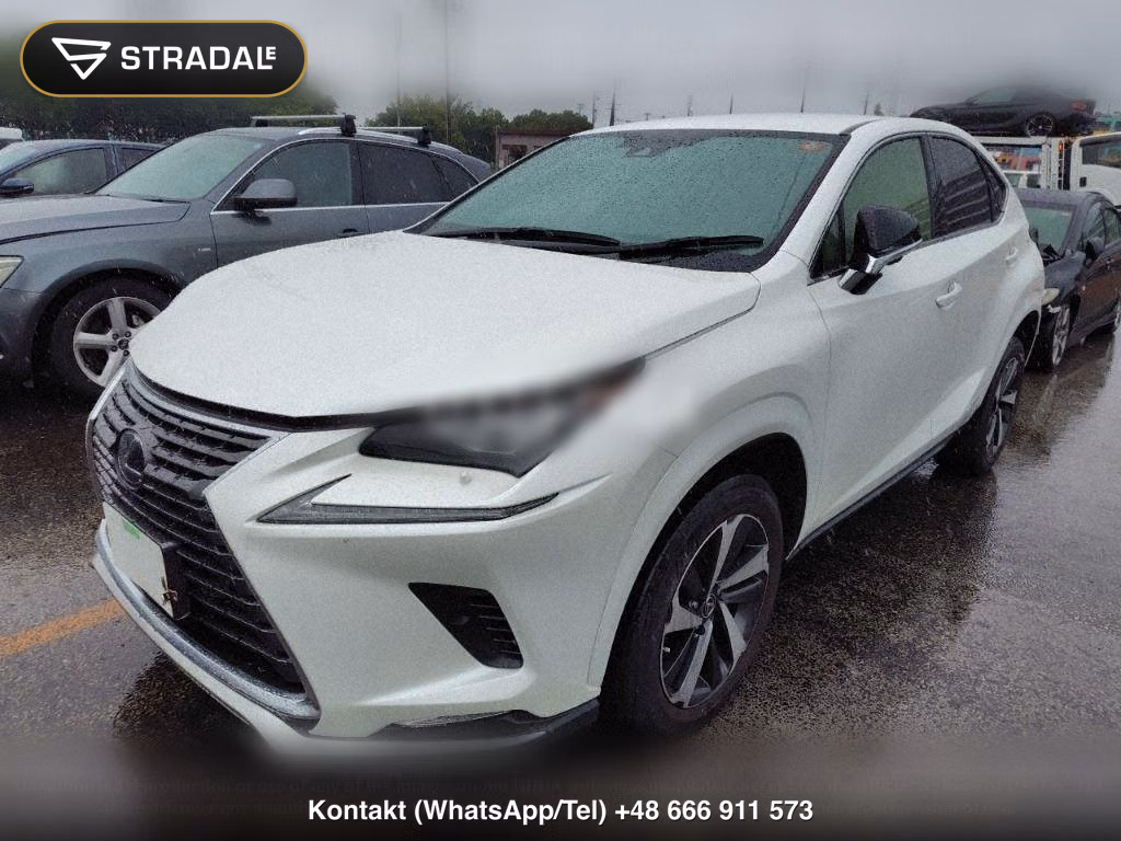 LEXUS NX NX300H SPECIAL EDITION SPICE AND CHIC, miniaturka 5