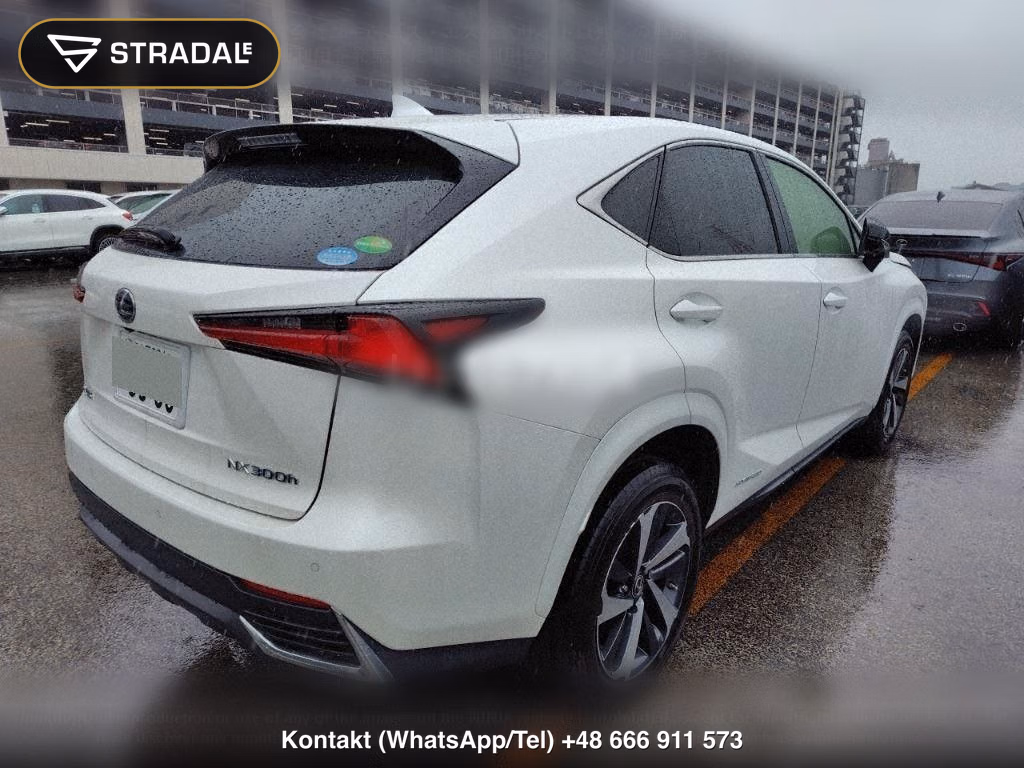 LEXUS NX NX300H SPECIAL EDITION SPICE AND CHIC, miniaturka 6
