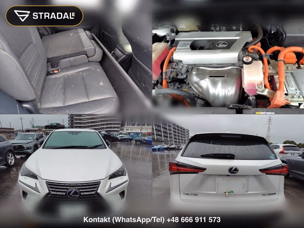 LEXUS NX NX300H SPECIAL EDITION SPICE AND CHIC, miniaturka 7