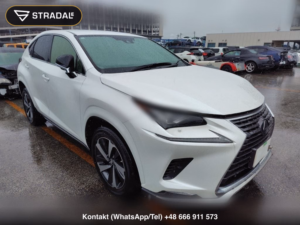 LEXUS NX NX300H SPECIAL EDITION SPICE AND CHIC 2020, aukcja z Japonii, zdjęcie 1