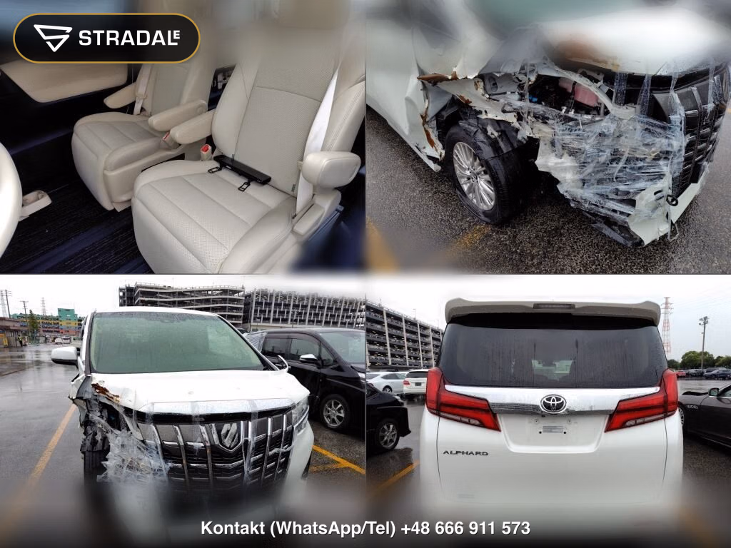TOYOTA ALPHARD 4WD 2.5G, miniaturka 7