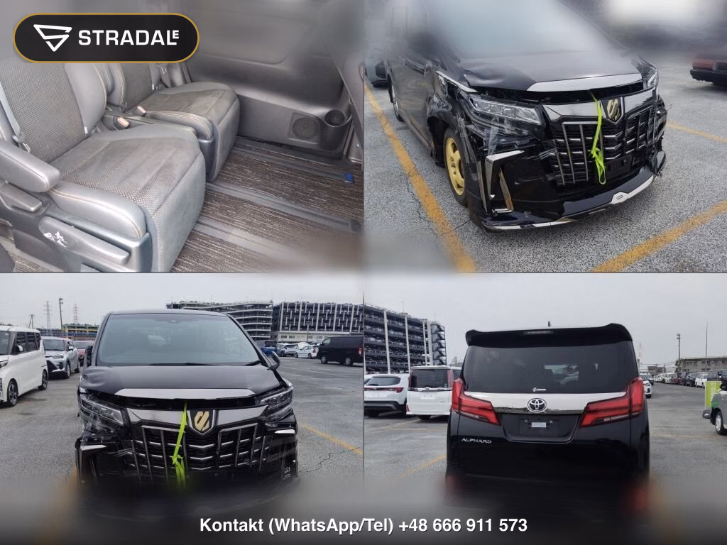 TOYOTA ALPHARD 2.5S TYPE GOLDⅡ, miniaturka 7