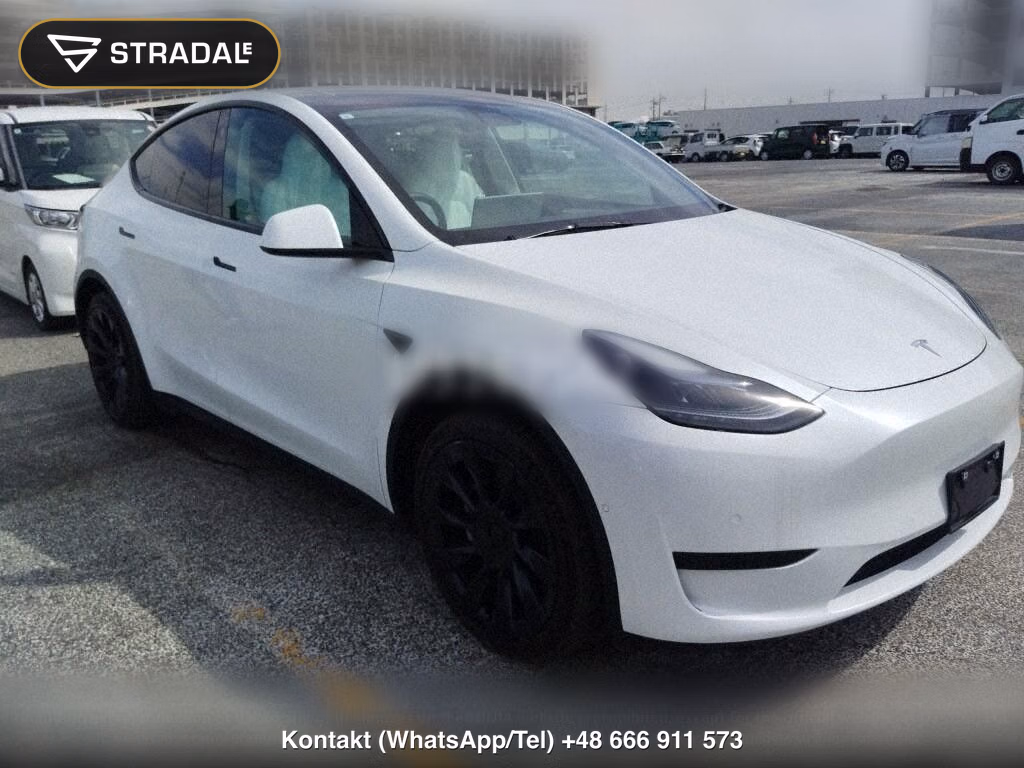 TESLA MODEL Y RWD, miniaturka 2