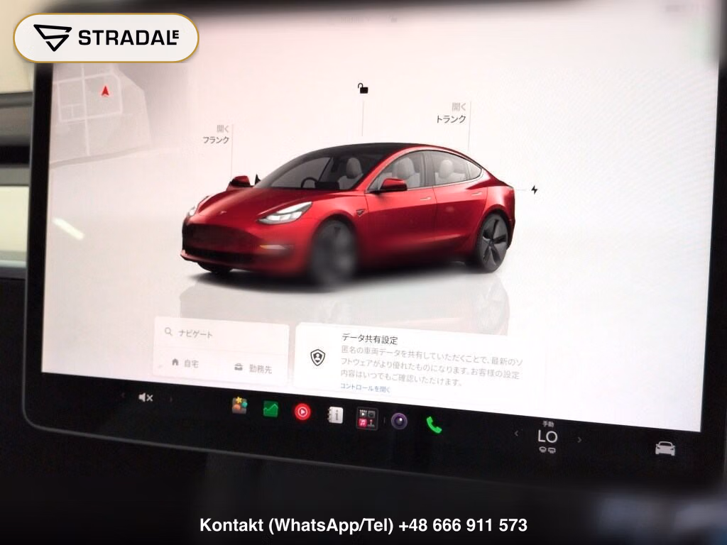 TESLA MODEL 3 BASE GRADE, miniaturka 7