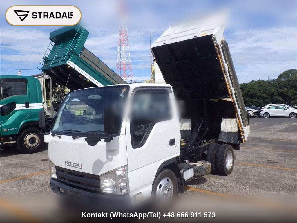 ISUZU ELF TRUCK 2D OTHERS, miniaturka 5