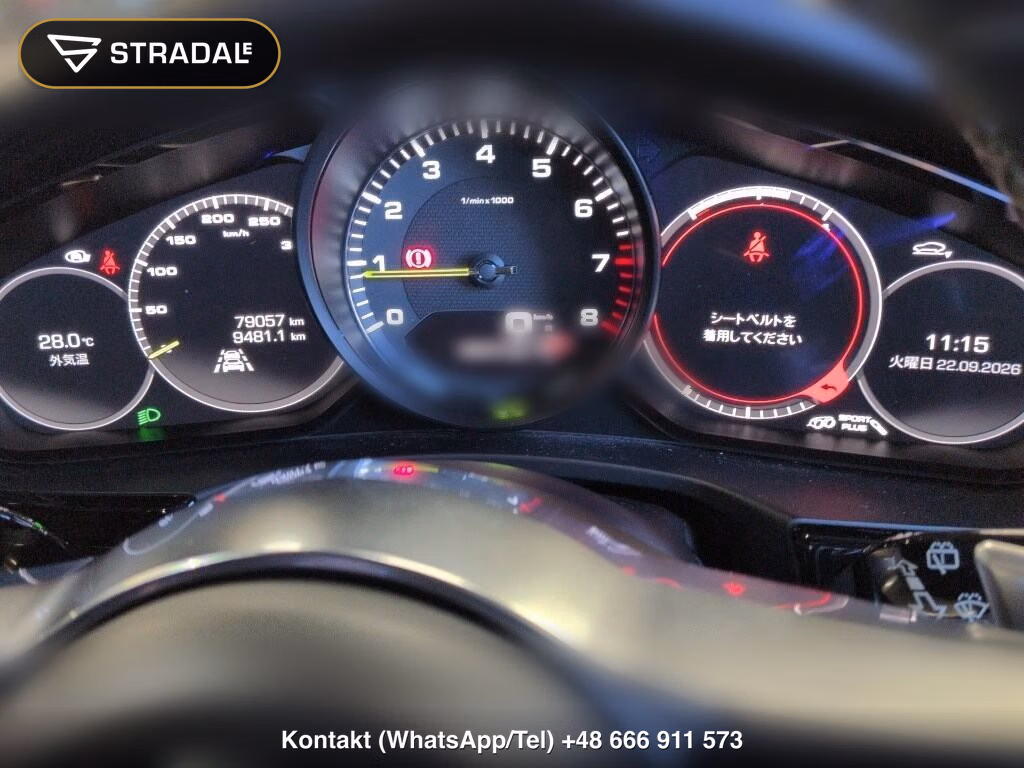 PORSCHE PANAMERA WG 4WD 4 E-HYBRID SPORT TURISMO, miniaturka 7