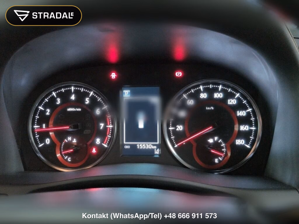 TOYOTA ALPHARD 2.5S TYPE GOLD, miniaturka 7