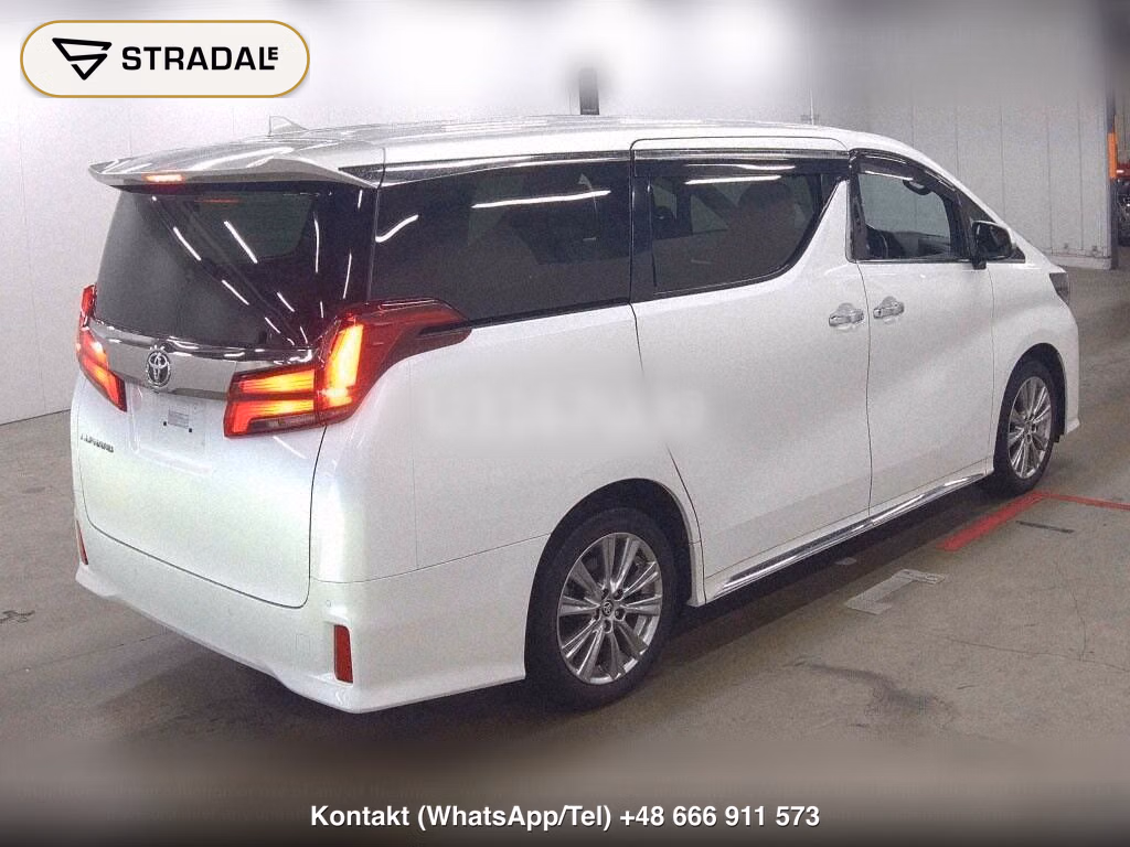 TOYOTA ALPHARD 2.5S TYPE GOLD, miniaturka 6