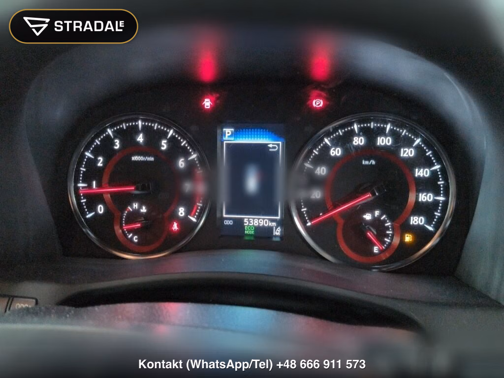 TOYOTA ALPHARD 2.5S TYPE GOLD, miniaturka 7