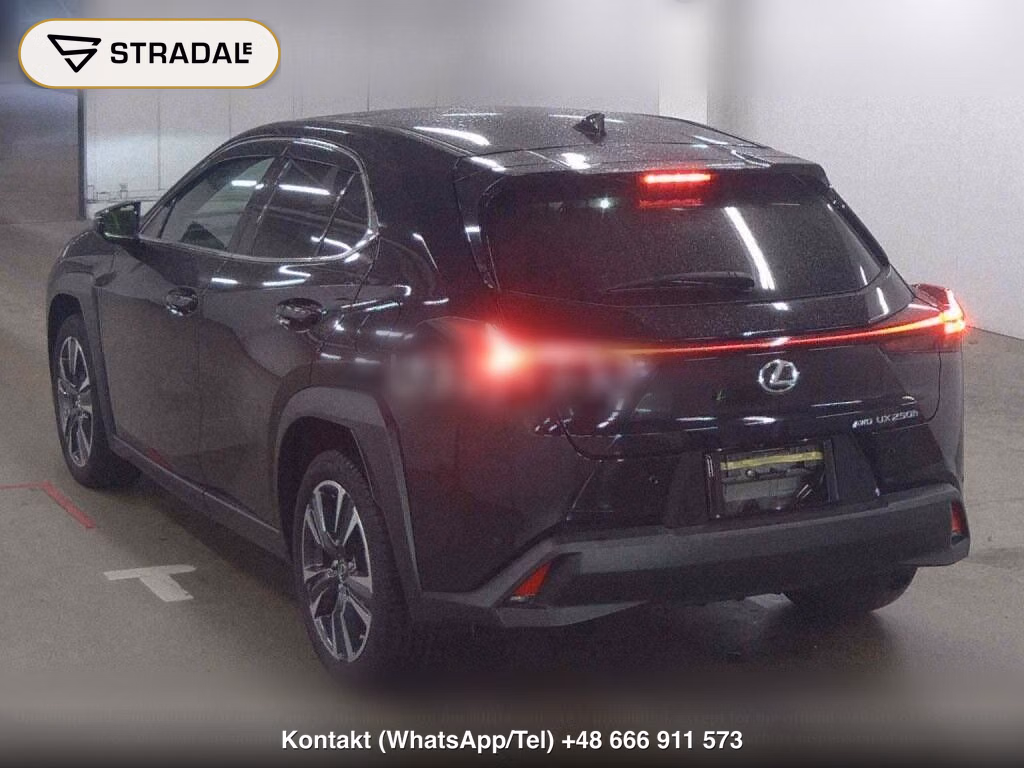 LEXUS UX 4WD UX250H VERSION L, miniaturka 3