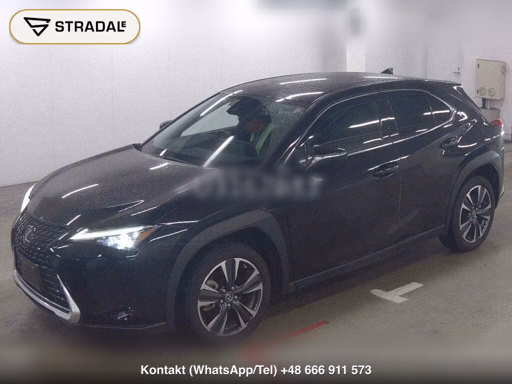 LEXUS UX 4WD UX250H VERSION L, miniaturka 5