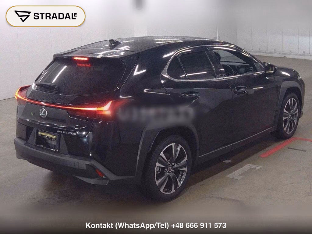 LEXUS UX 4WD UX250H VERSION L, miniaturka 6