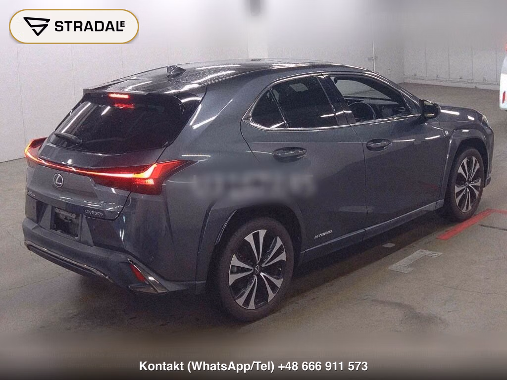 LEXUS UX UX250H F SPORT STYLE BLUE, miniaturka 6