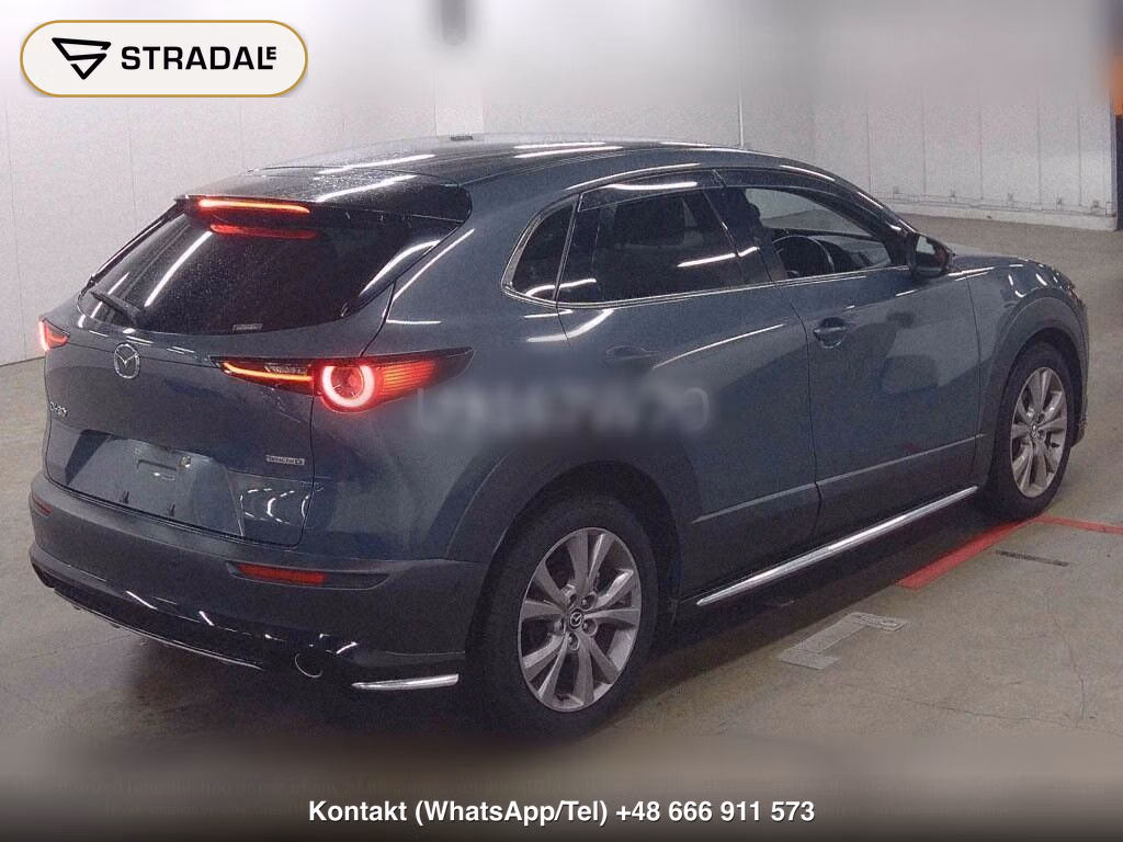MAZDA CX-30 XD PROACTIVE TOURING SELECTION, miniaturka 6