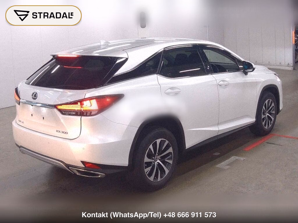 LEXUS RX RX300, miniaturka 7