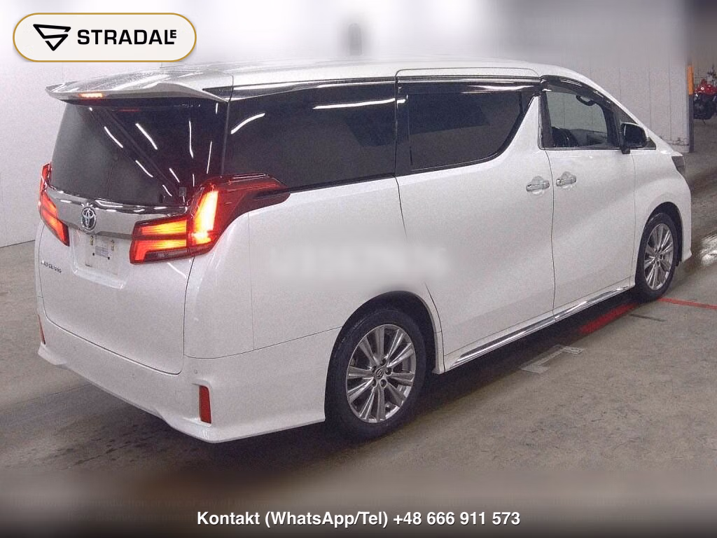 TOYOTA ALPHARD 2.5S TYPE GOLD, miniaturka 6