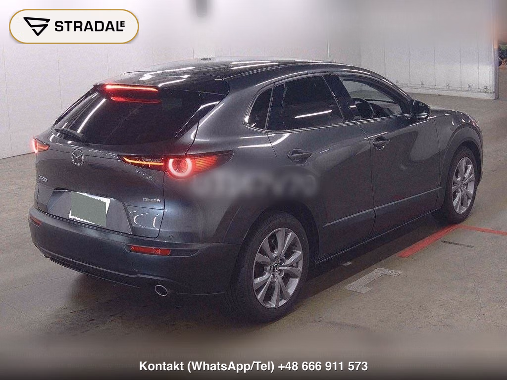 MAZDA CX-30 XD L PACKAGE, miniaturka 6
