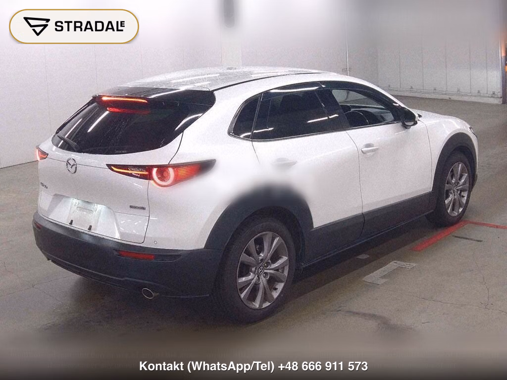 MAZDA CX-30 20S PROACTIVE TOURING SELECTION, miniaturka 6