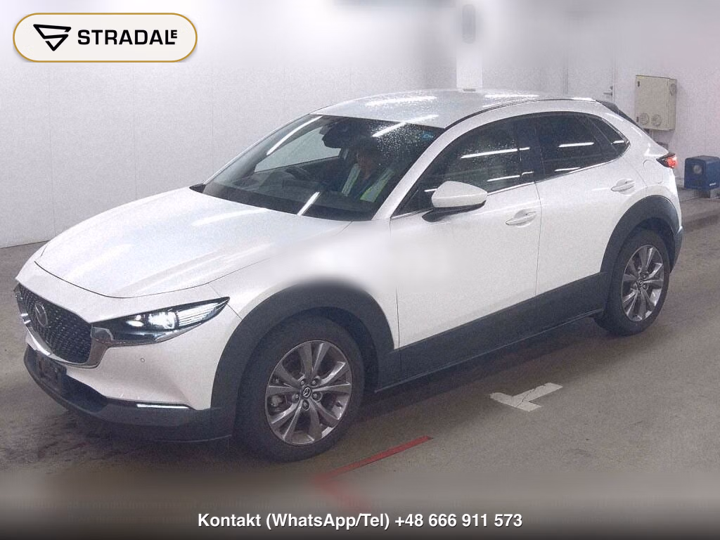 MAZDA CX-30 XD L PACKAGE, miniaturka 5