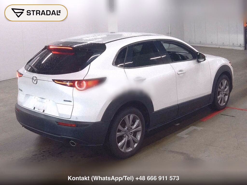 MAZDA CX-30 XD L PACKAGE, miniaturka 6