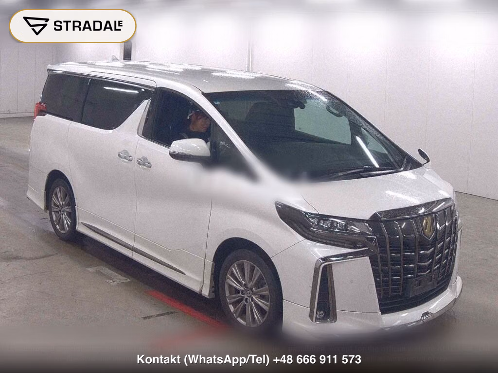 TOYOTA ALPHARD 2.5S TYPE GOLD, miniaturka 2