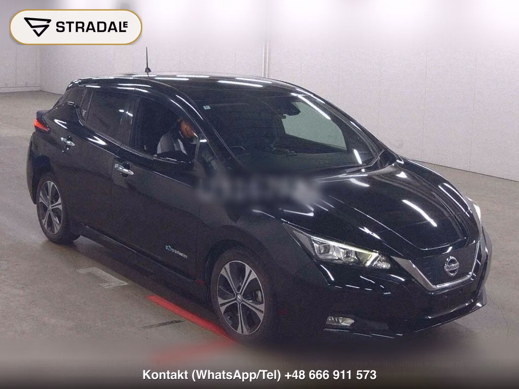 NISSAN LEAF X 10 THOUSAND UNITS MEMORIAL CAR, miniaturka 2