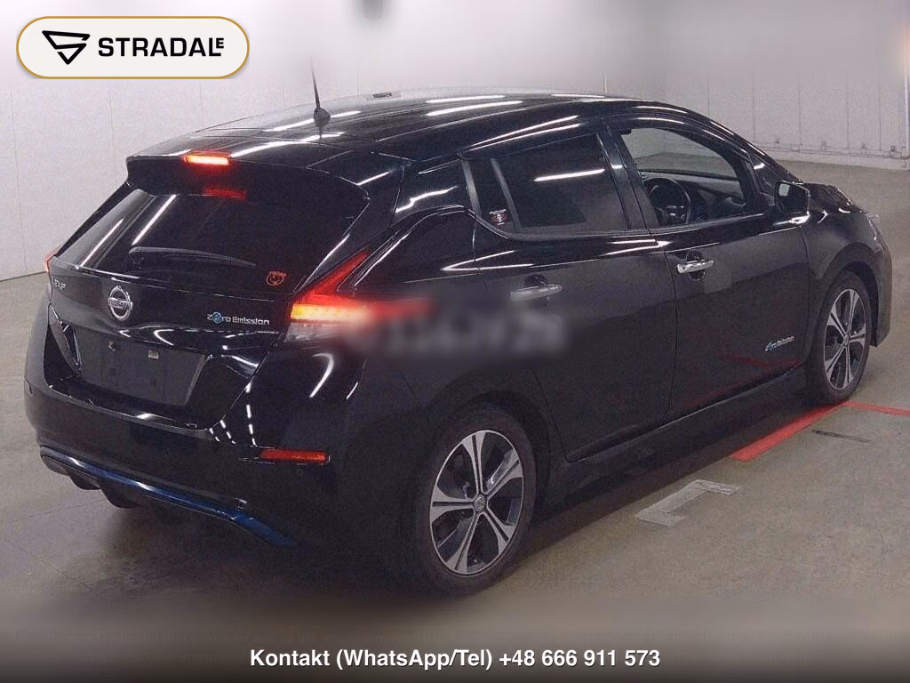 NISSAN LEAF X 10 THOUSAND UNITS MEMORIAL CAR, miniaturka 6