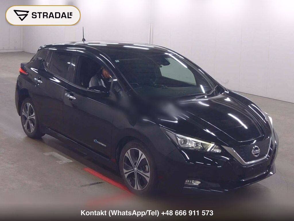 NISSAN LEAF X 10 THOUSAND UNITS MEMORIAL CAR 2018, aukcja z Japonii, zdjęcie 1
