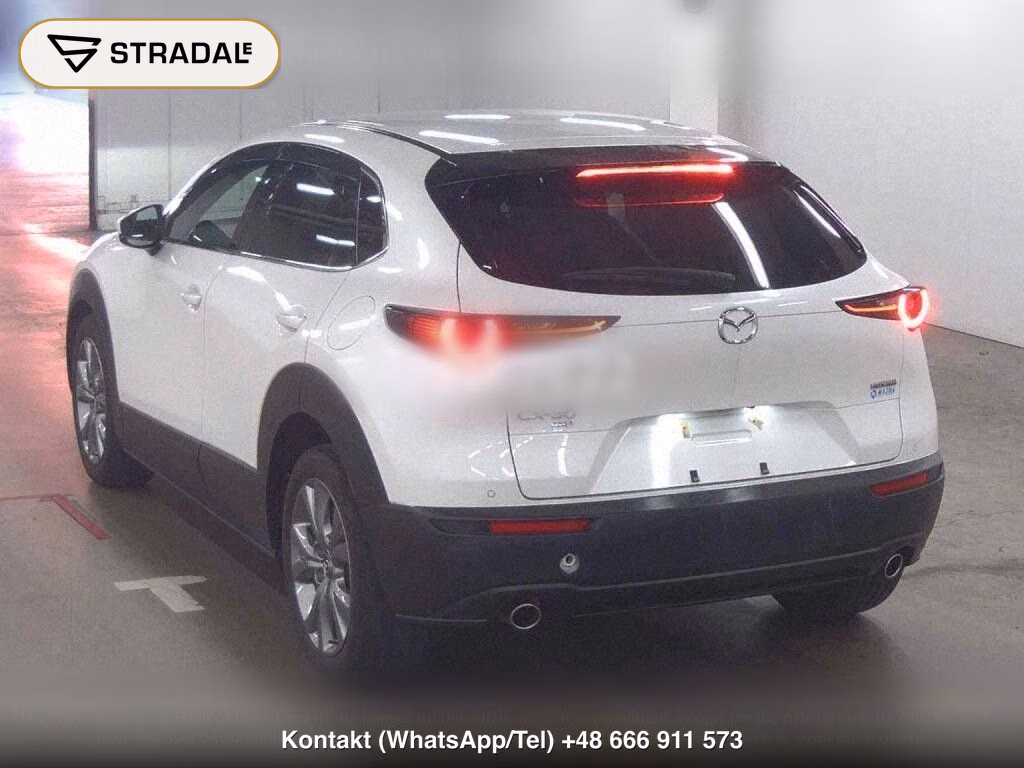 MAZDA CX-30 4WD 20S PROACTIVE, miniaturka 3