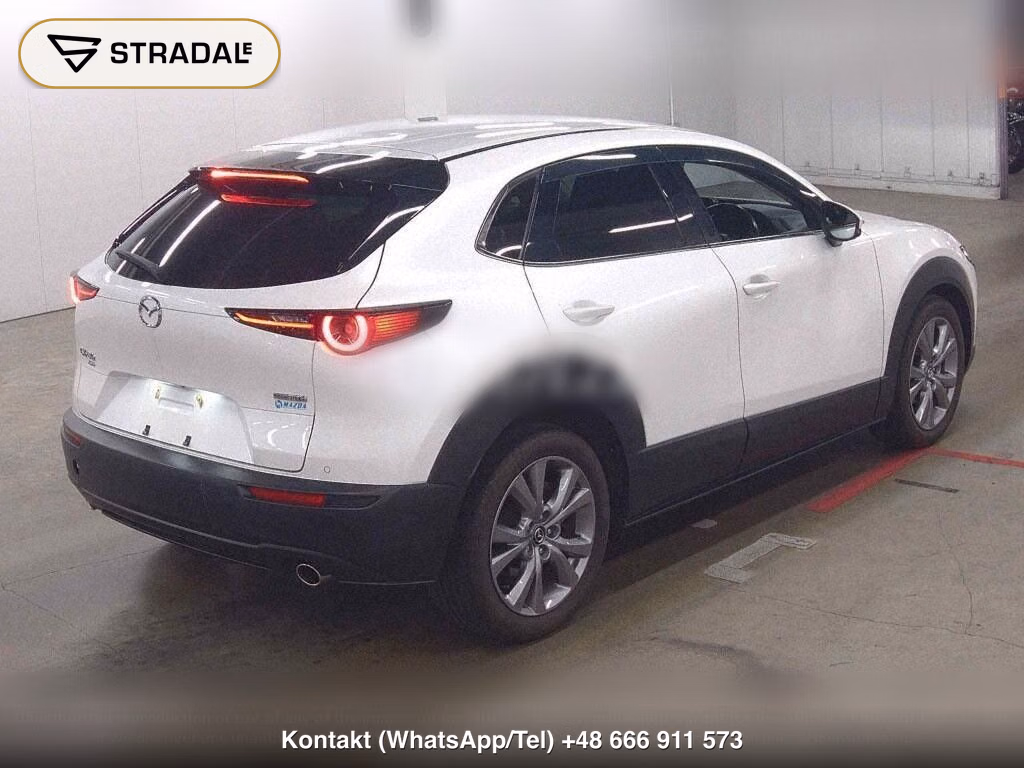 MAZDA CX-30 4WD 20S PROACTIVE, miniaturka 6